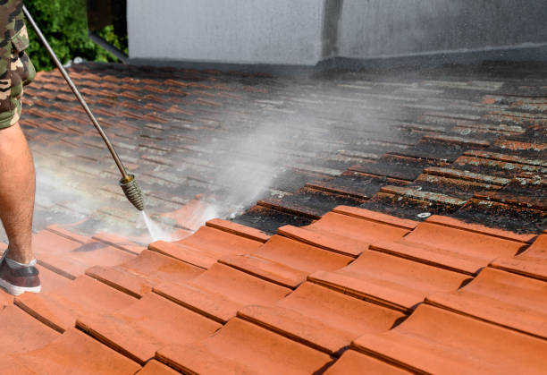 Best Pressure Washing Patio  in Verdigris, OK